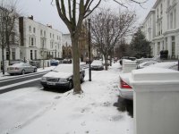 Snow in Kensington